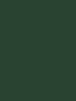 Ribble Touch Up Paint - Hybrid Green