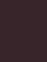 Ribble Touch Up Paint - Hybrid Berry
