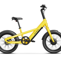Heybike EC Compact City